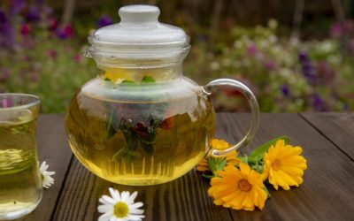 Les 3 remèdes les plus populaires de la médecine traditionnelle à base de plantes