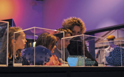 Le musée des sciences biologiques Docteur Mérieux