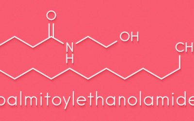 Palmitoylethanolamide (PEA) : un puissant actif anti-douleur méconnu