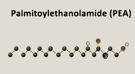 palmitoylethanolamide