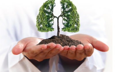 Quelle plante pour nettoyer et tonifier ses poumons ? Comment purifier ses bronches naturellement ?