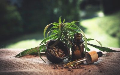 Les bénéfices de de l’huile de CBD