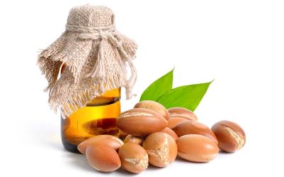 L’huile d’argan, l’or liquide du Maroc