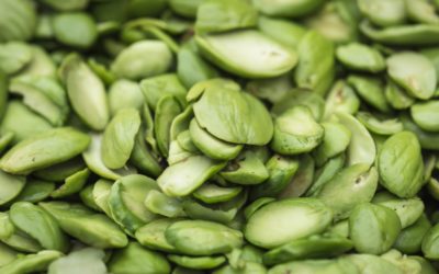 Le griffonia, la plante minceur anti grignotage qui régule l’appétit