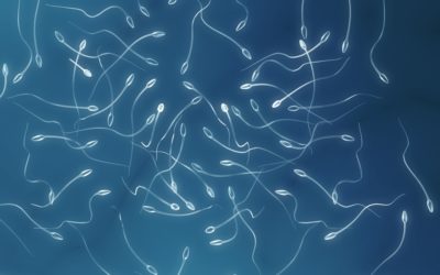 Qu’est-ce que l’hémospermie ?