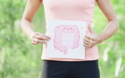 Combien de temps faut-il pour reconstituer la flore intestinale ?