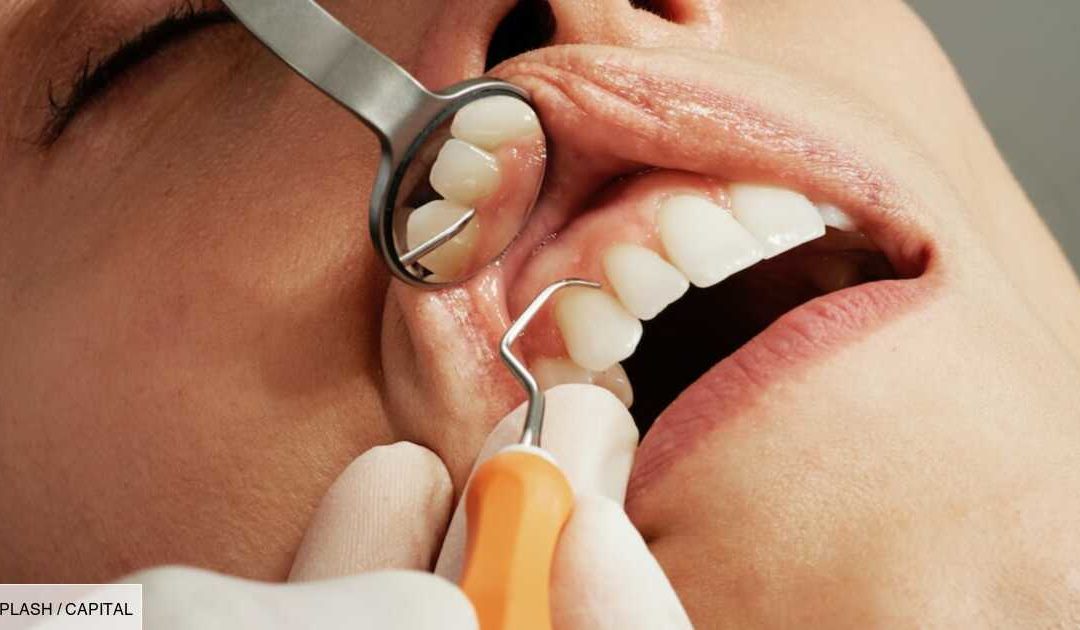 Santé dentaire : des chercheurs nippons sur le point de faire repousser les dents !