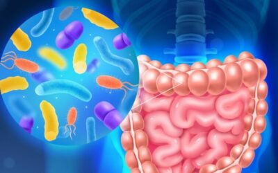 Kosbiotic, un acteur français face aux nouveaux enjeux du microbiote