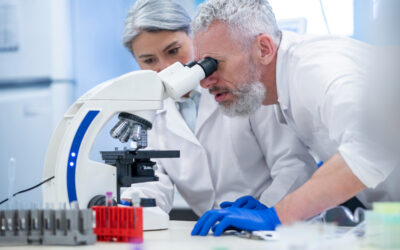 Kosbiotic : la science du microbiote bouscule les codes de la minceur